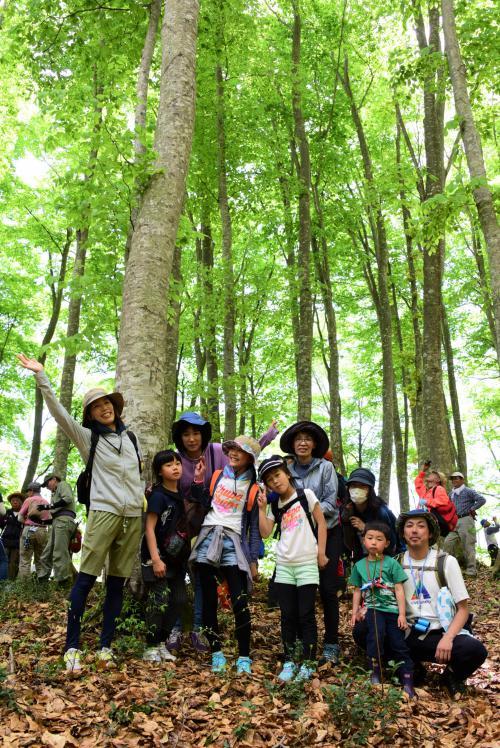 高田山ブナの森探索会の写真