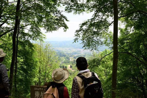 東展望台の写真