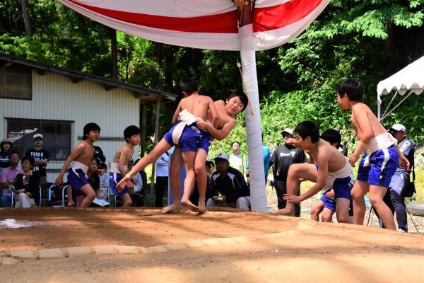 土俵際の接戦の写真1