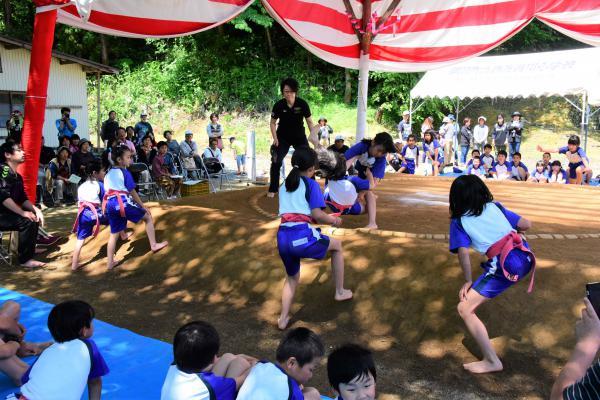 土俵際の接戦の写真3