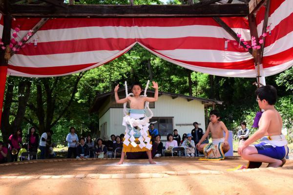 西の横綱の貫禄の土俵入りの写真1