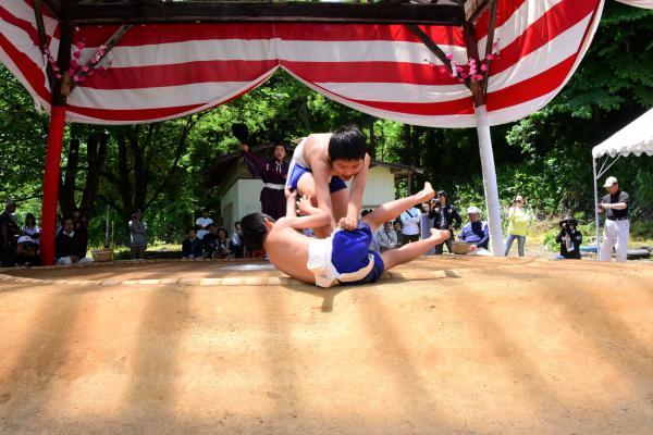 東の横綱に軍配が上がった写真