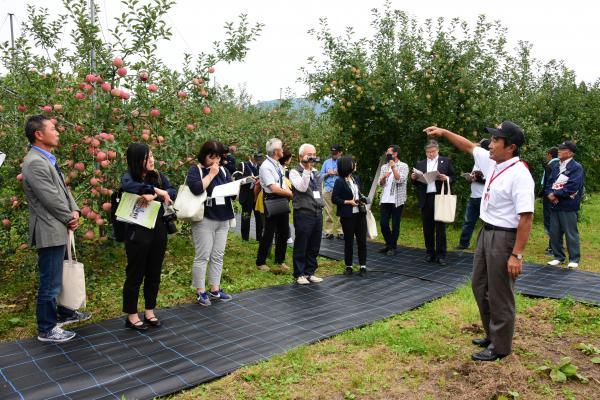「りんご新半わい化朝日ロンバス栽培全国大会」の様子の写真