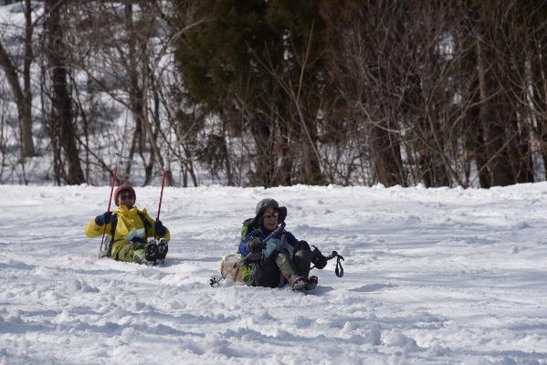 帰りのゲレンデでそりで滑り降りる人たち