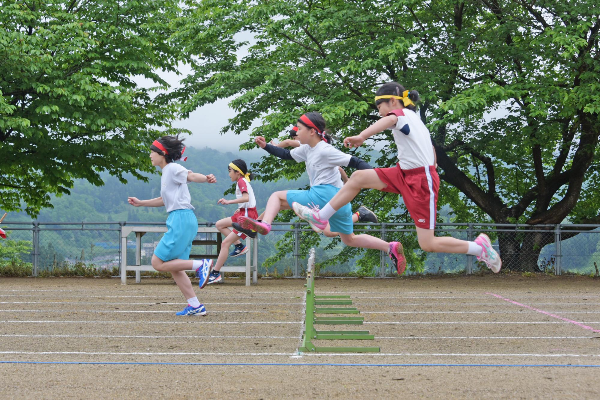 女子ハードル走の様子（真横から）