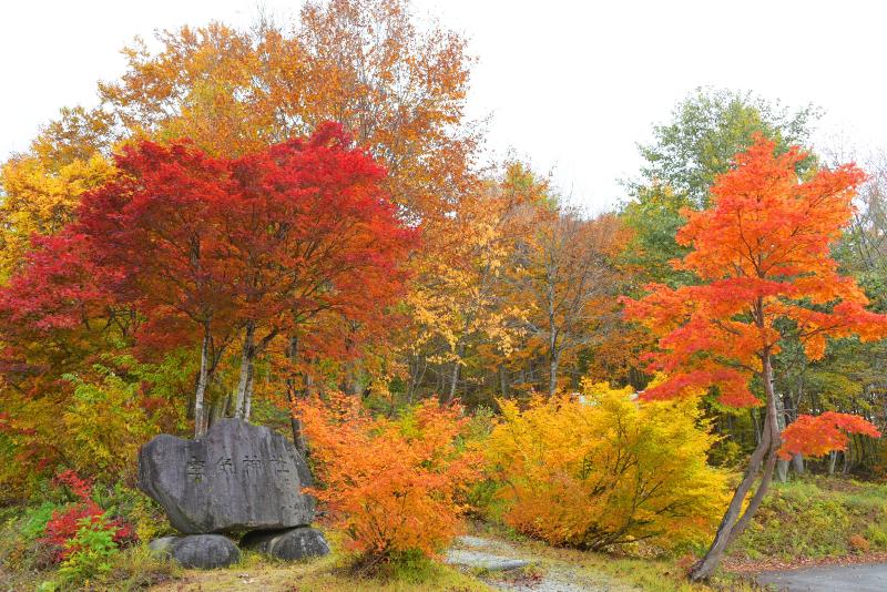 空気神社の紅葉