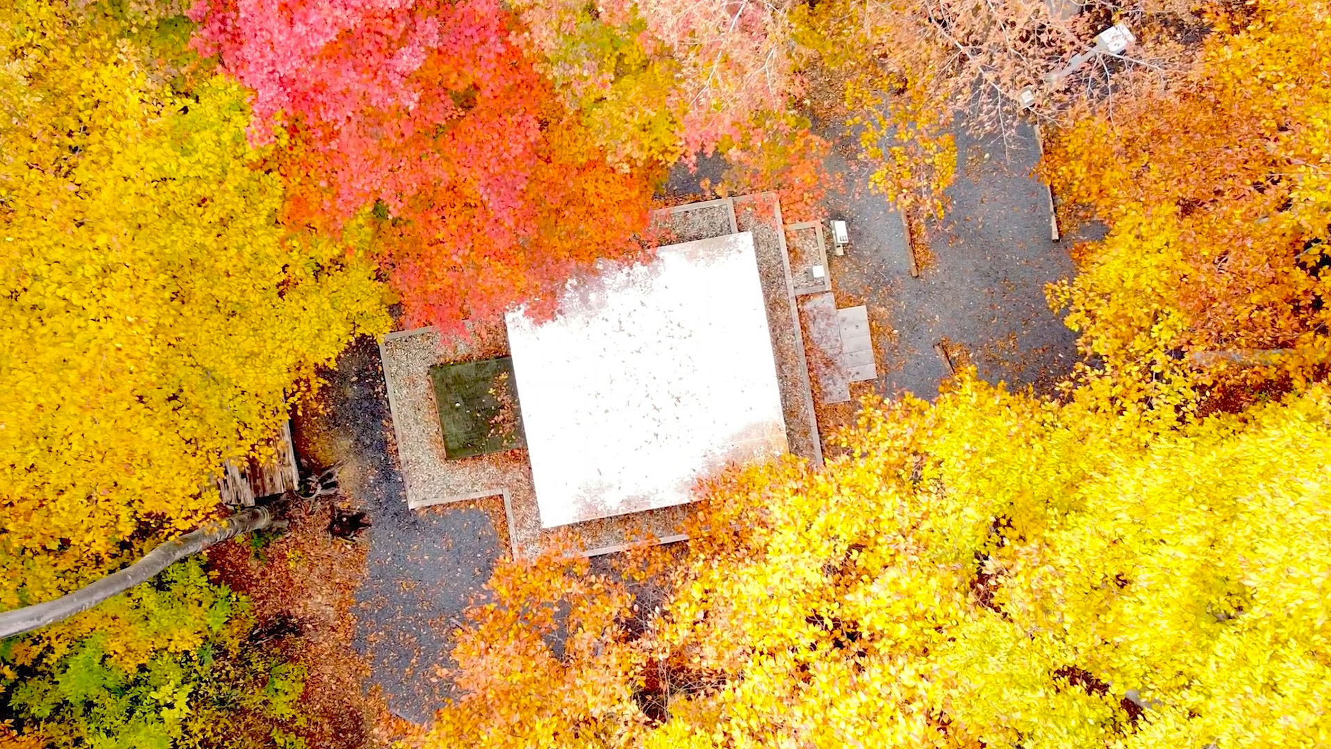 動画のワンカット、秋の空気神社の空撮
