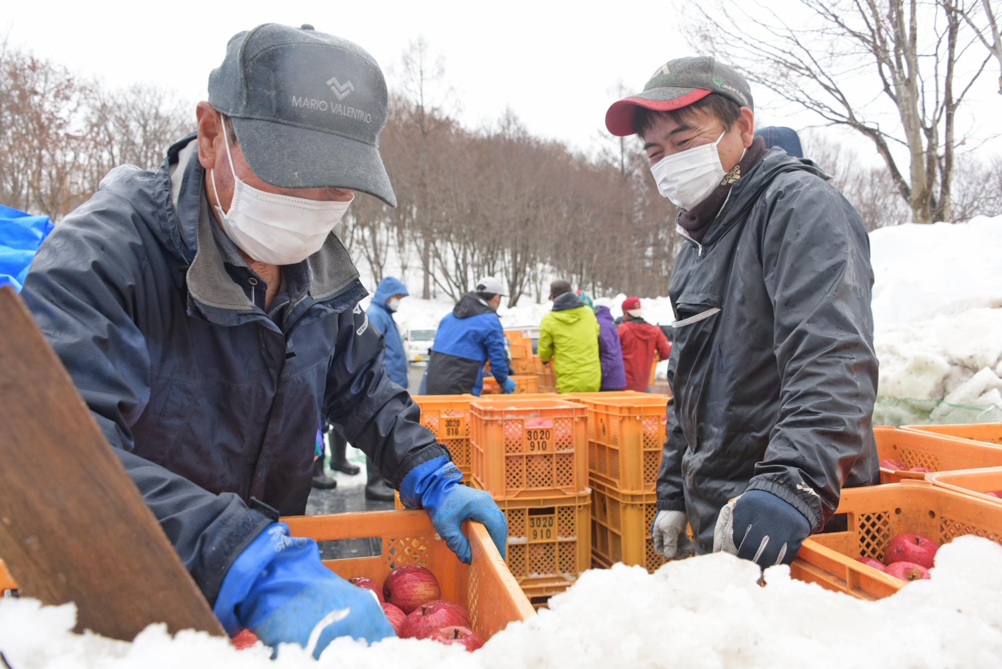 雪りんごの出来にほころぶ生産者