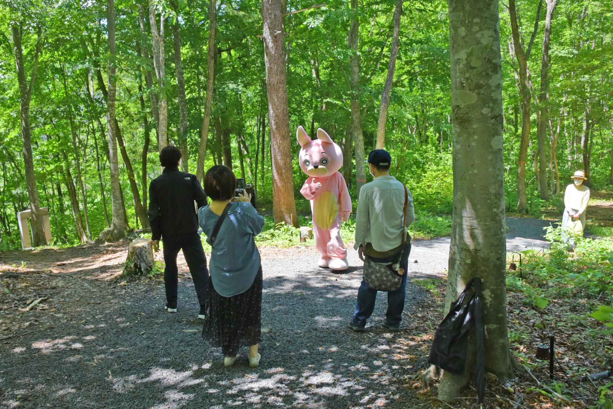 桃色ウサヒが出没