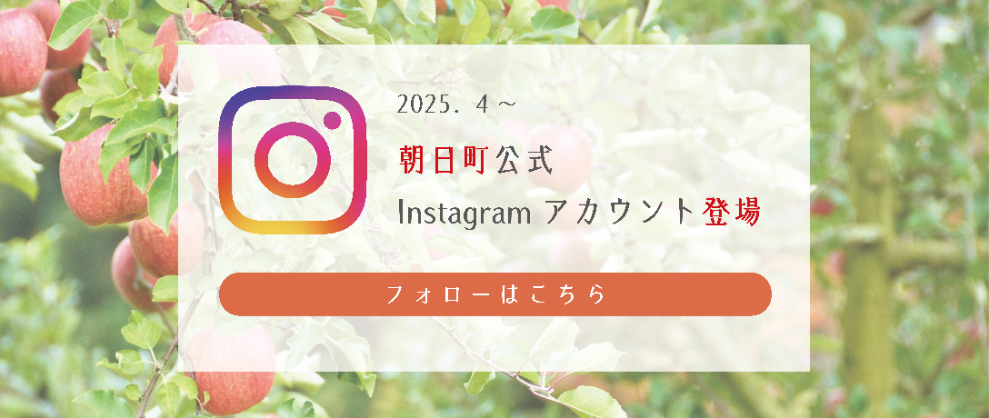 インスタグラム開設しました