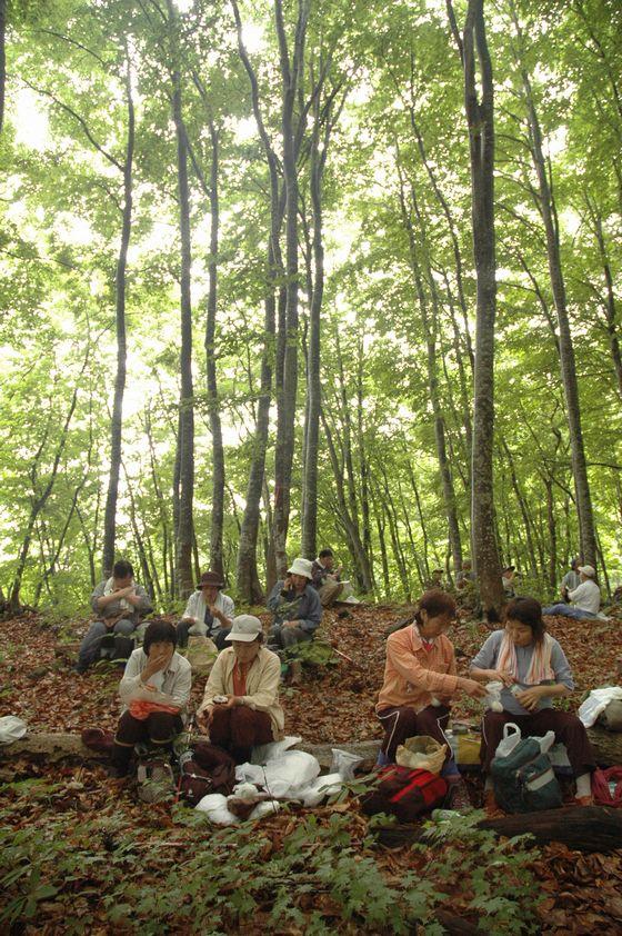 ブナ林の中で昼食をとる高田山ブナの森探索会の写真