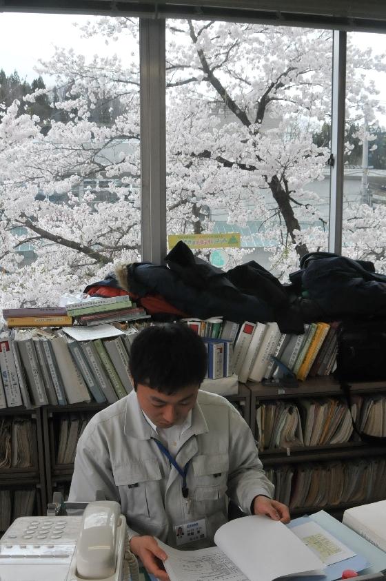 桜を背に業務にあたる産業振興課の職員の写真