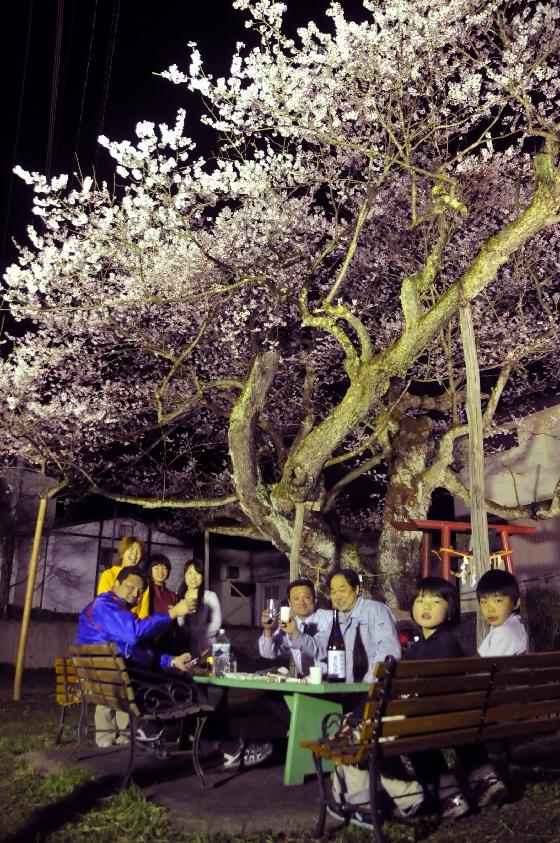 夜桜の花見を楽しむ近所の方々の写真