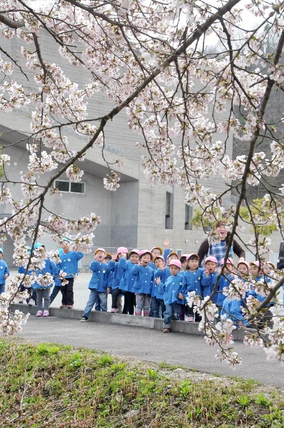 あさひ保育園の4歳・5歳の園児たちが創遊館の敷地内にある桜を見に出かけた様子の写真4