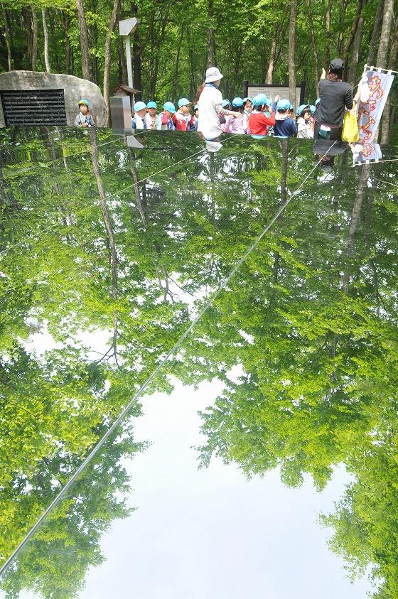 空気神社のステンレス床が空の新緑を映す写真