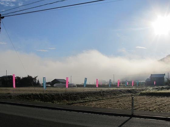 午前7時頃に霧が晴れてきている様子の写真