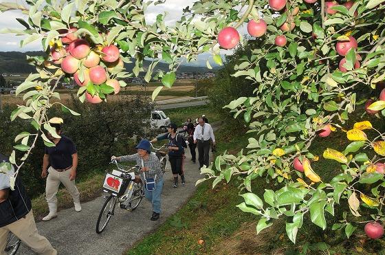 「電動機付き自転車でまわる朝日町」ツアーで「世界のりんご園」を訪れている様子の写真