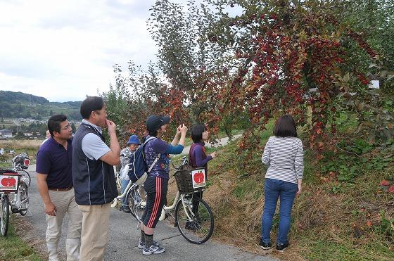 「電動機付き自転車でまわる朝日町」ツアーで、「世界のりんご園」の世界各国の珍しい品種を見学している写真