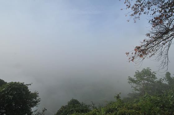 霧がなかなか晴れない、さくら公園の写真