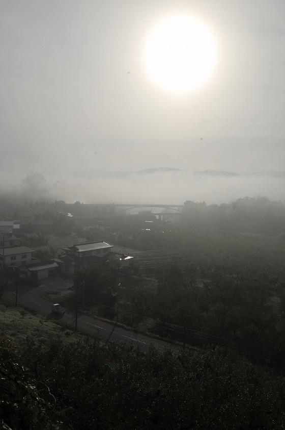 朝日町ワインの南側にある、玄蕃山から撮影した写真
