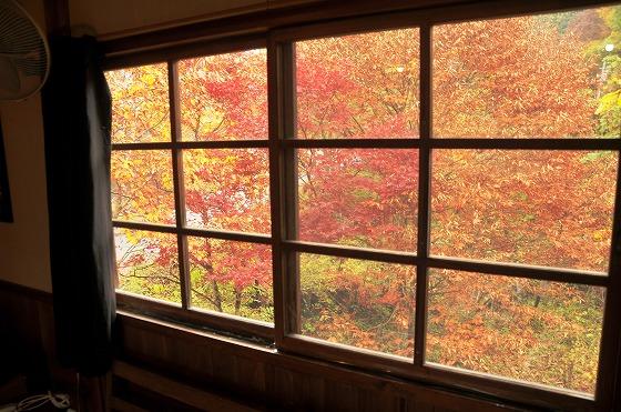 紅葉がちょうど見ごろな格子戸の外の景色の写真