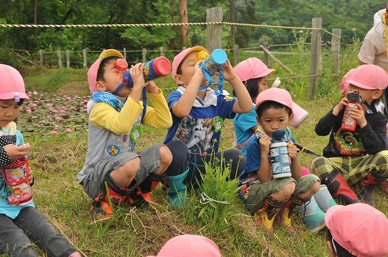 水分補給をする園児たちの写真