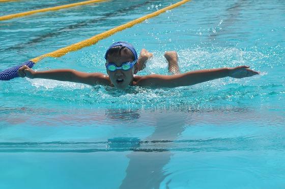青い水泳帽をかぶった一人の選手が手を広げて精一杯泳いでいる様子の写真
