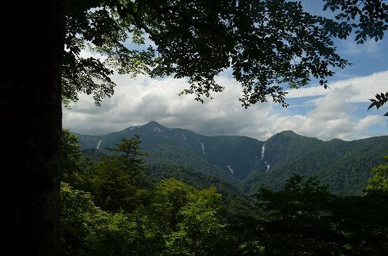 上倉山付近の写真