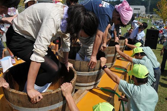 樽の中のブドウを地団駄を踏むようにつぶしていく参加者の様子の写真