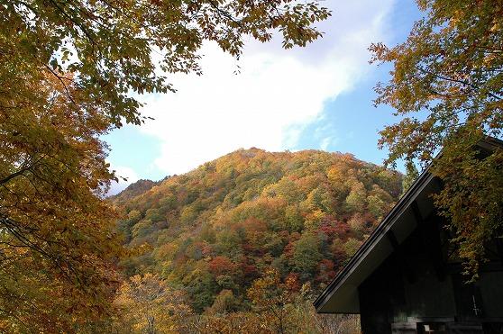 想像よりも木々がずっと色づいてきている秋の深まりを感じさせられる様子の写真