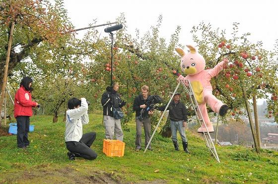 ウサヒがりんごを収穫している写真
