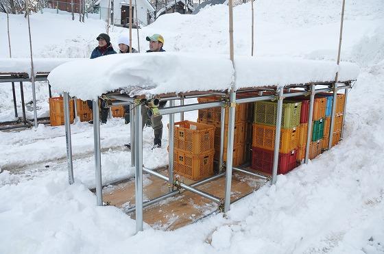 12月11日に行われた雪室リンゴの準備作業の様子の写真