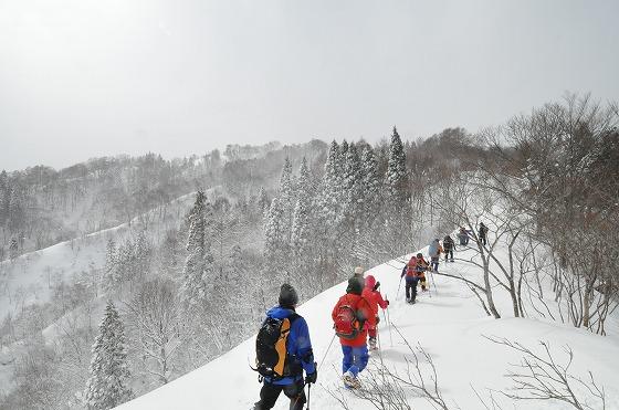 雪道を行く参加者の写真