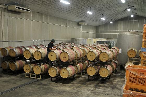 たくさんの樽が並ぶワイン倉庫の写真