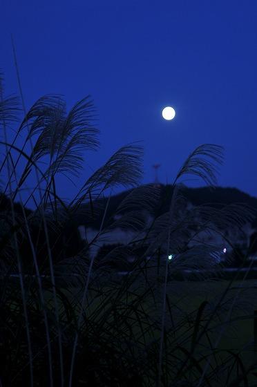 中秋の名月の撮影写真5