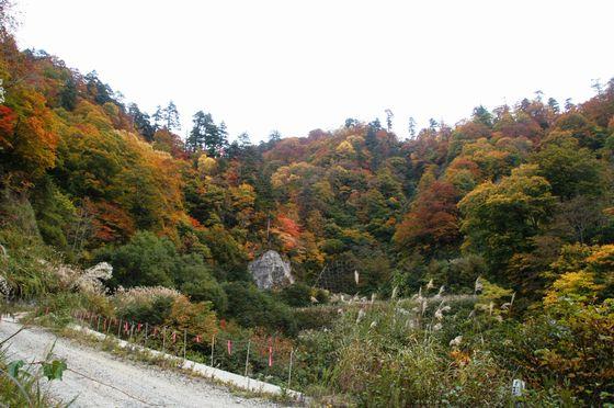 朝日鉱泉から愛染峠を目指すところの写真