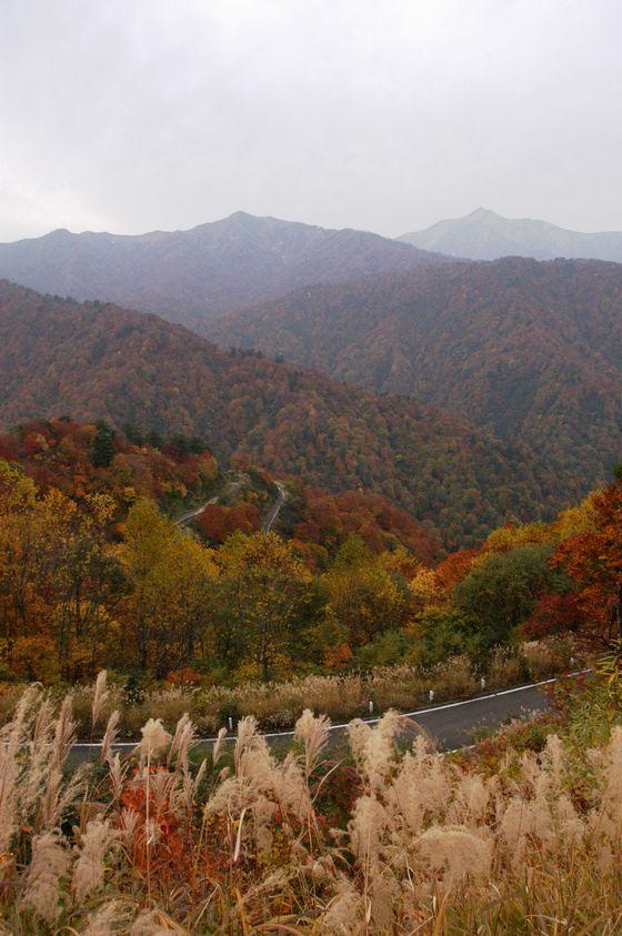 愛染峠の美しい紅葉の写真1