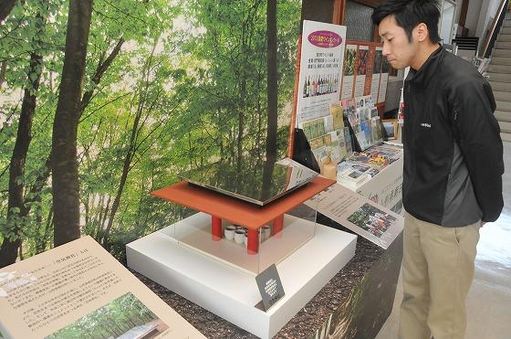 空気神社のこれまでのミニチュア模型の写真