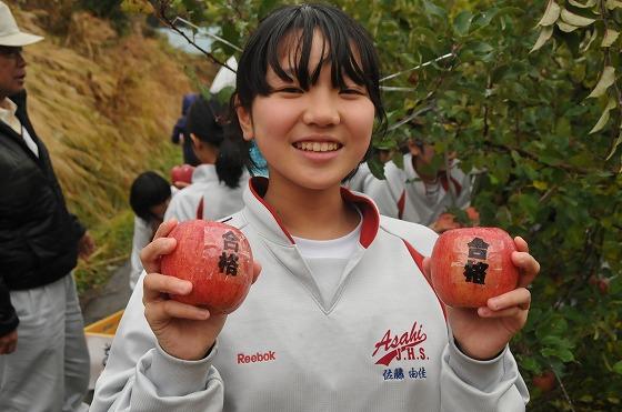 収穫されたりんごを2つ持っている女の子の写真