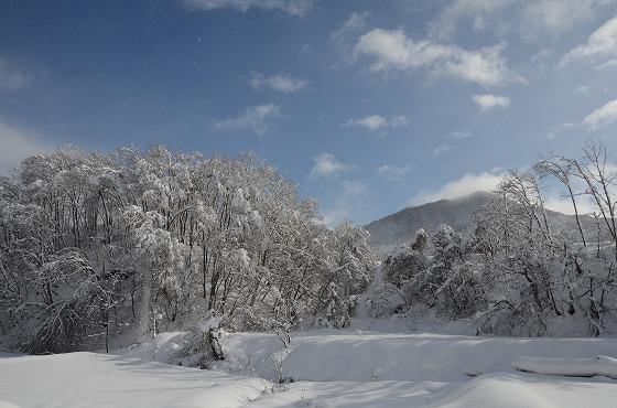 雪を覆った木々の写真