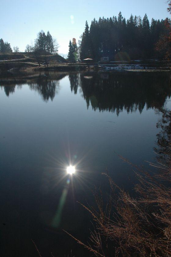水面に映る太陽がキレイな様子の写真