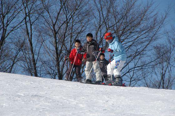 小学生がスキーをしている写真