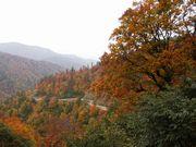 紅葉の朝日川渓谷の写真