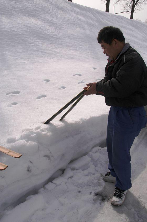 竹スキーを作っている様子の写真3