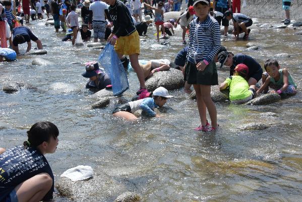 川底に手を突っ込む参加者たち