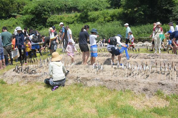 隣接の焼き場で魚を焼いている様子