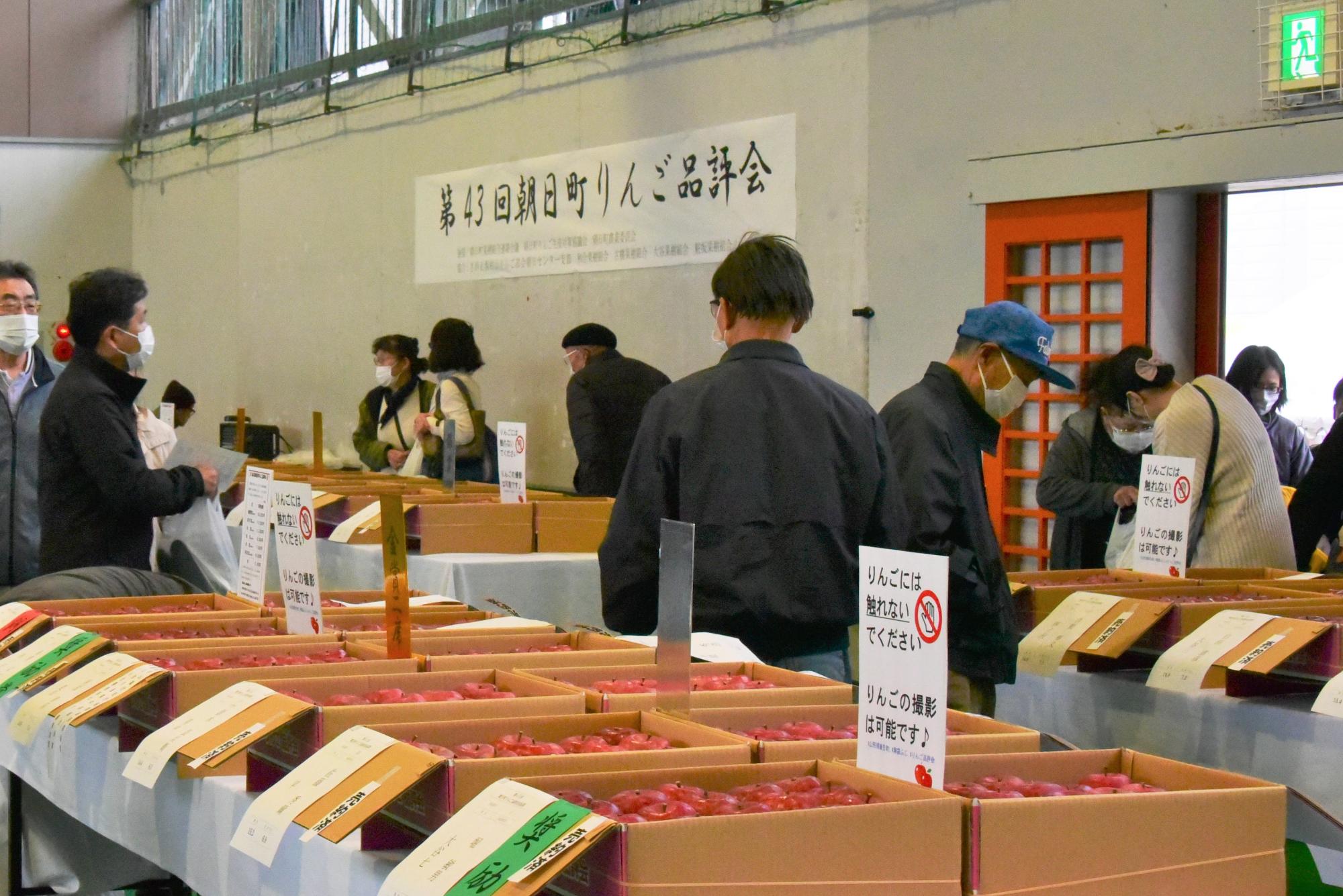 リンゴの展示の様子