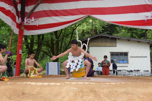 東の横綱の土俵入りの写真2