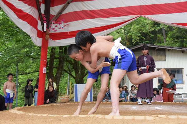 幕内力士の一本勝負が行われ、両陣営白熱の大接戦の様子の写真