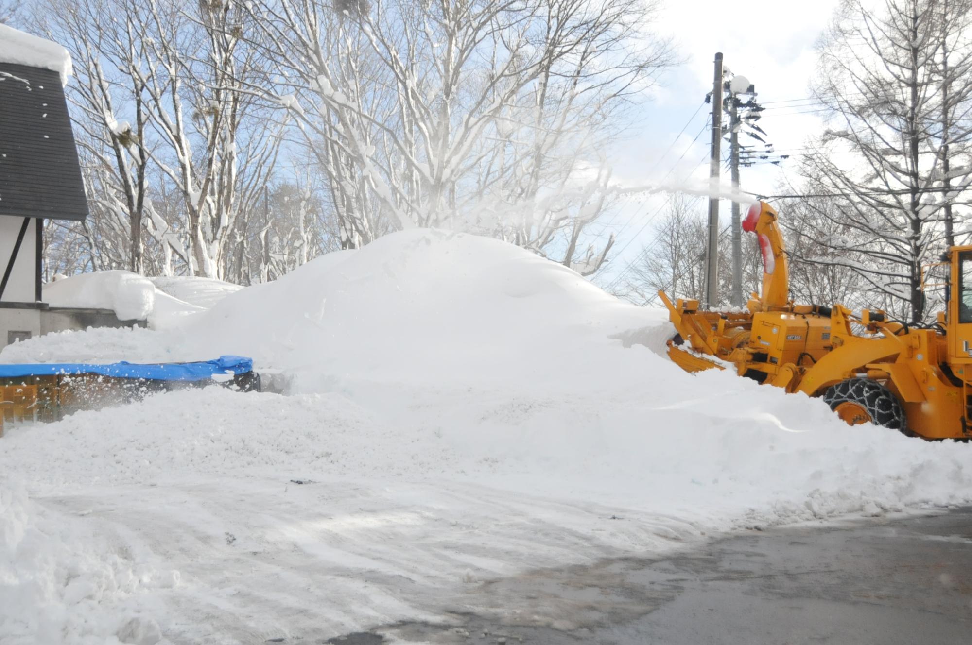 除雪車を使いりんごを雪で覆う様子